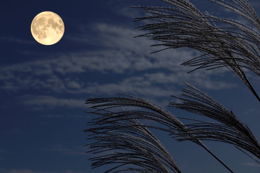 2025年11月営業日のお知らせ