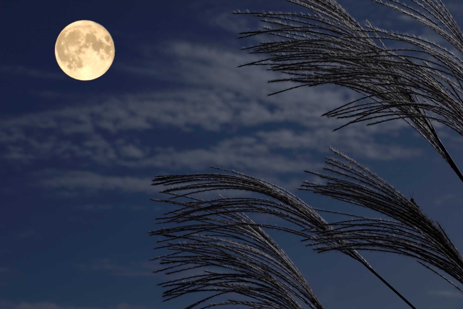 2025年11月営業日のお知らせ