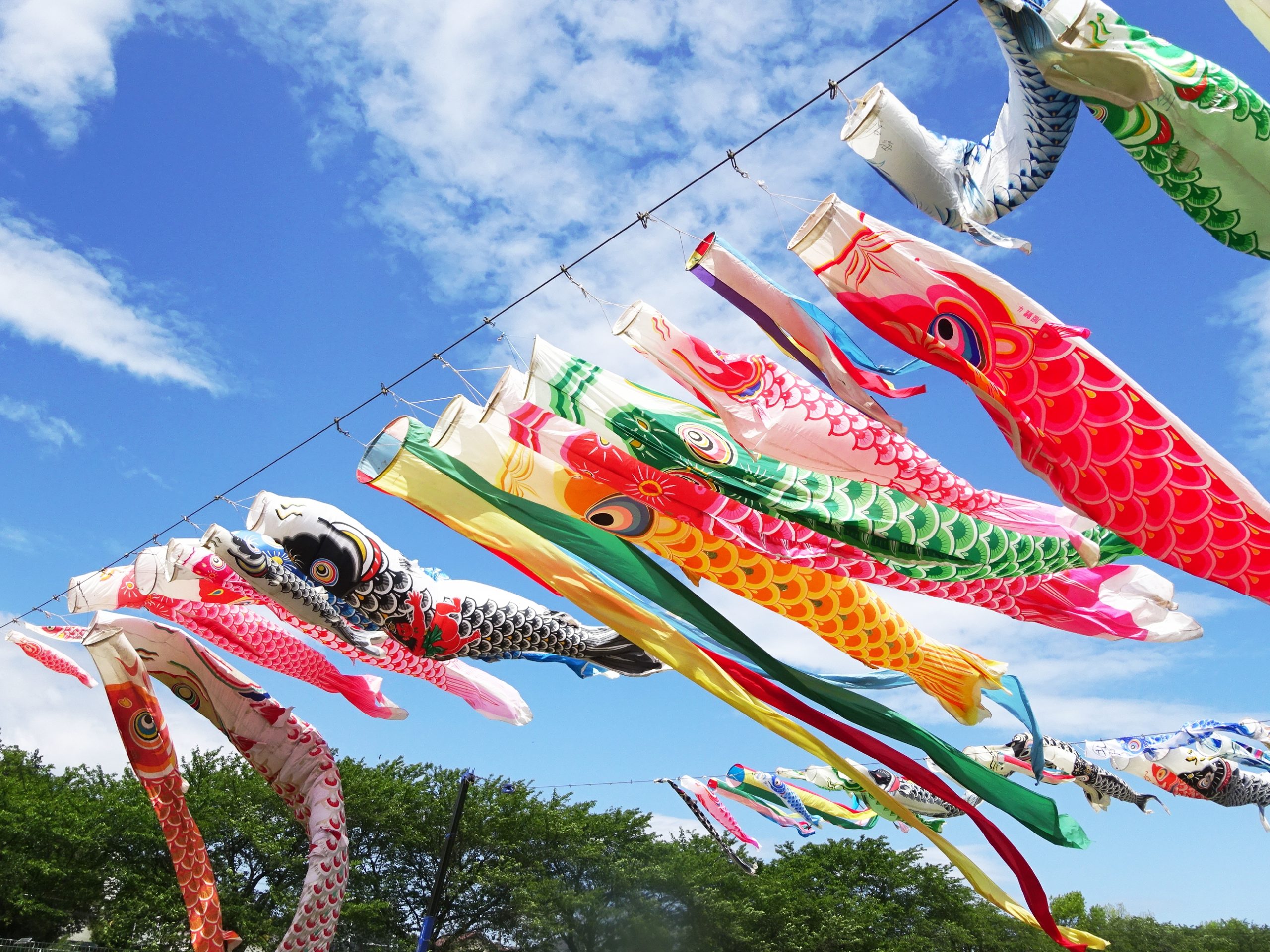 2025年5月営業日のお知らせ